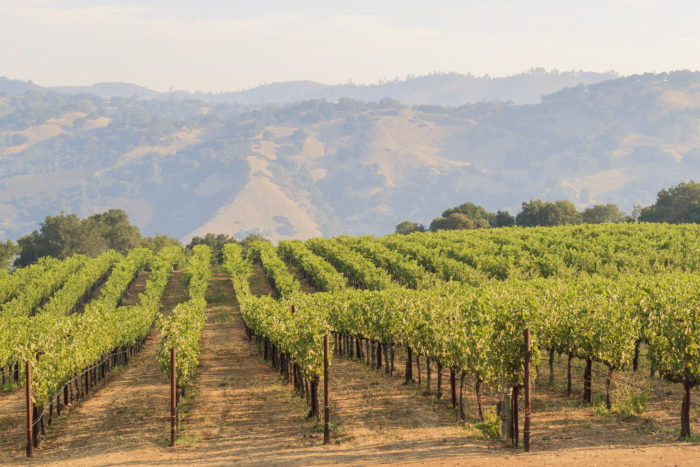 Dry Farming To Save Water