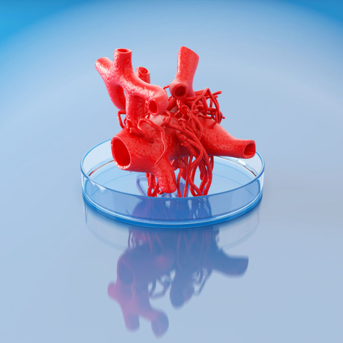 3D Printing Is Revolutionizing The Medical Industry