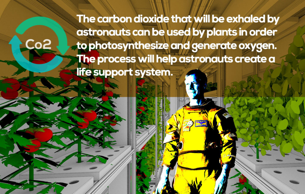 NASA Designs Inflatable Lunar Greenhouse