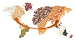 Food production sent to China from US