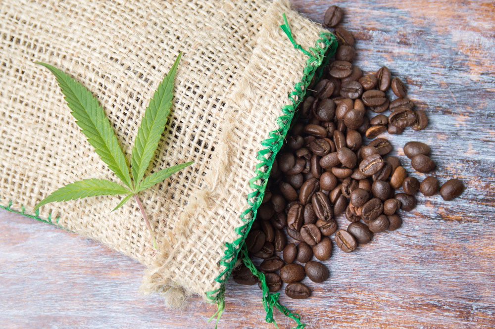 Coffee beans and marijuana leaf