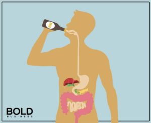 An anatomical drawing of a human gastrointestinal system, drinking beer.