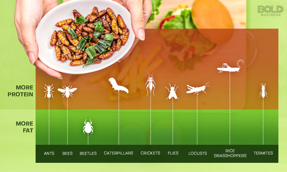 entomophagy is already done by over 2 Billion people daily