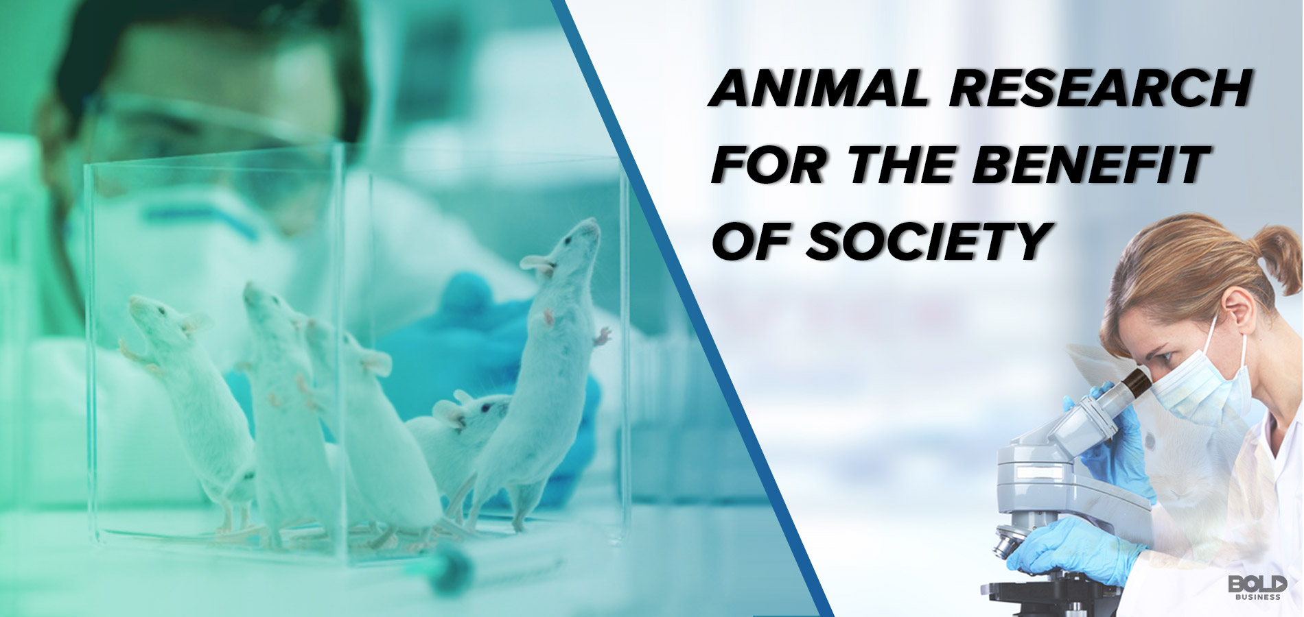feature image showing white lab rats for animal research