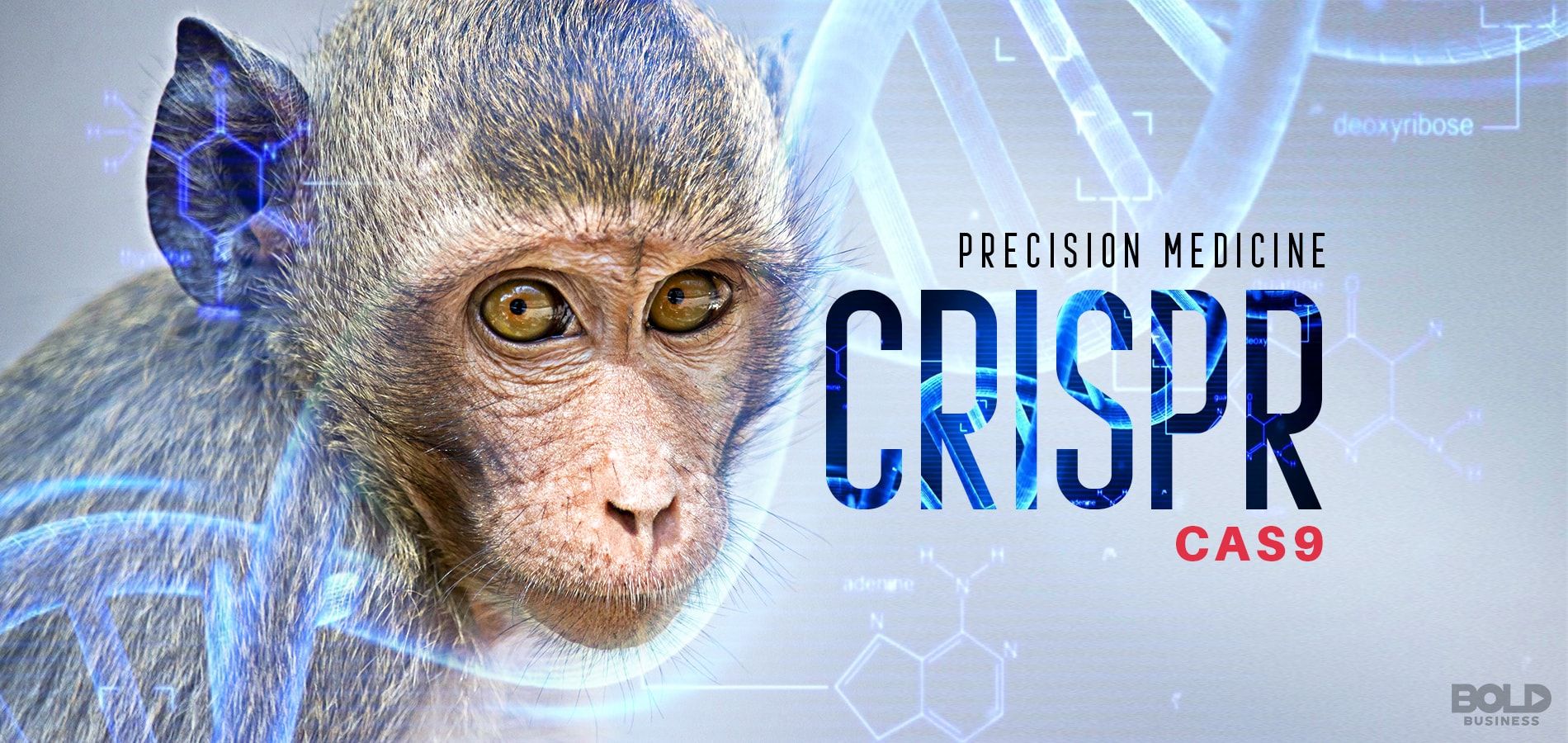 monkey and precision medicine on the right