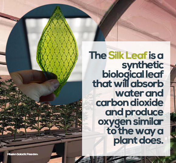 Silk Leaf - a synthetic biological leaf for space exploration and terraforming