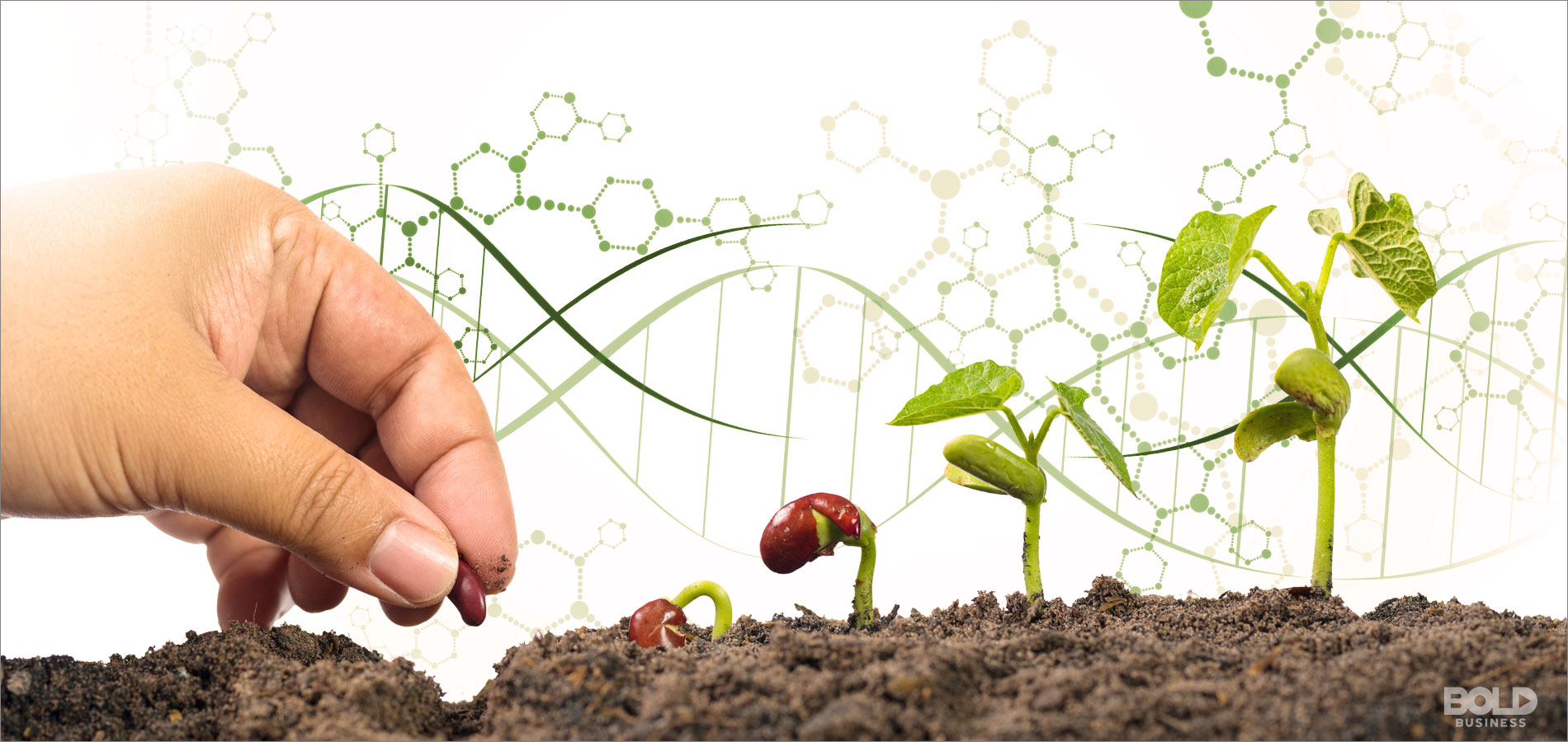 CRISPR technology in agriculture, hand planting seeds with dna sequence on the background