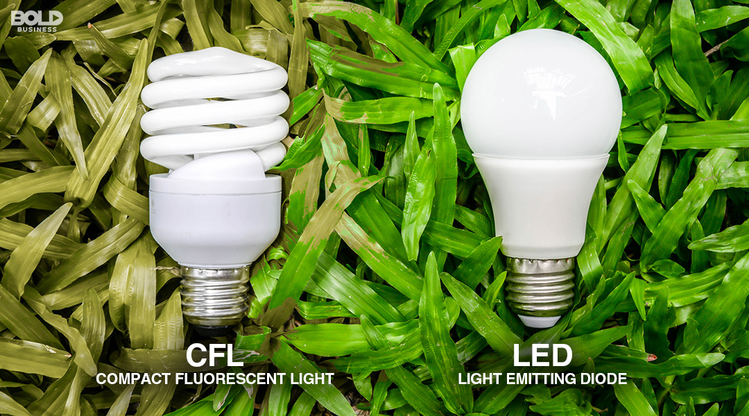 CFL and LED Light bulbs a photo of two light bulbs side by side -CFL-and-LED- in the Evolution of Lighting