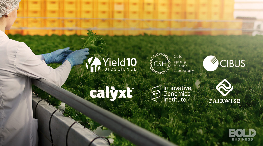 Companies leading the way in CRISPR technology in agriculture CRISPR technologies in agriculture, companies logos