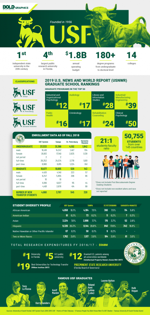 Infographic of stats of the University of South Florida USF Infographic