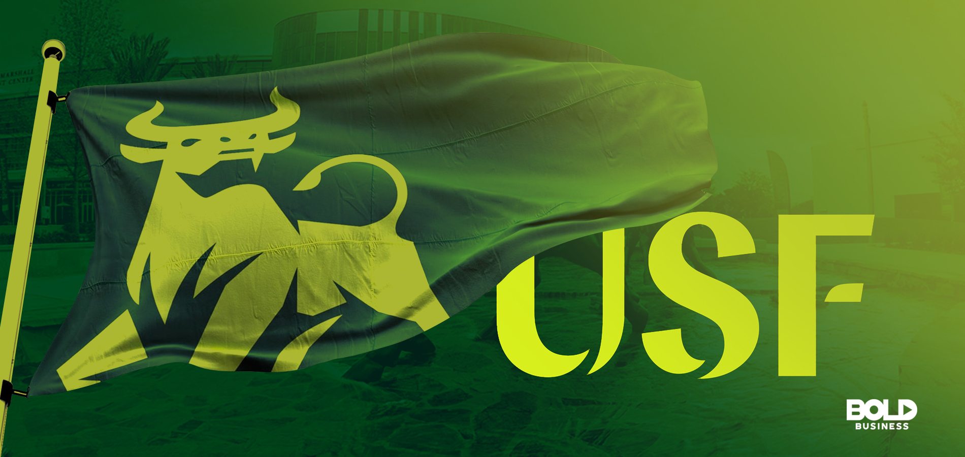 The University of South Florida: On the Verge of Preeminence