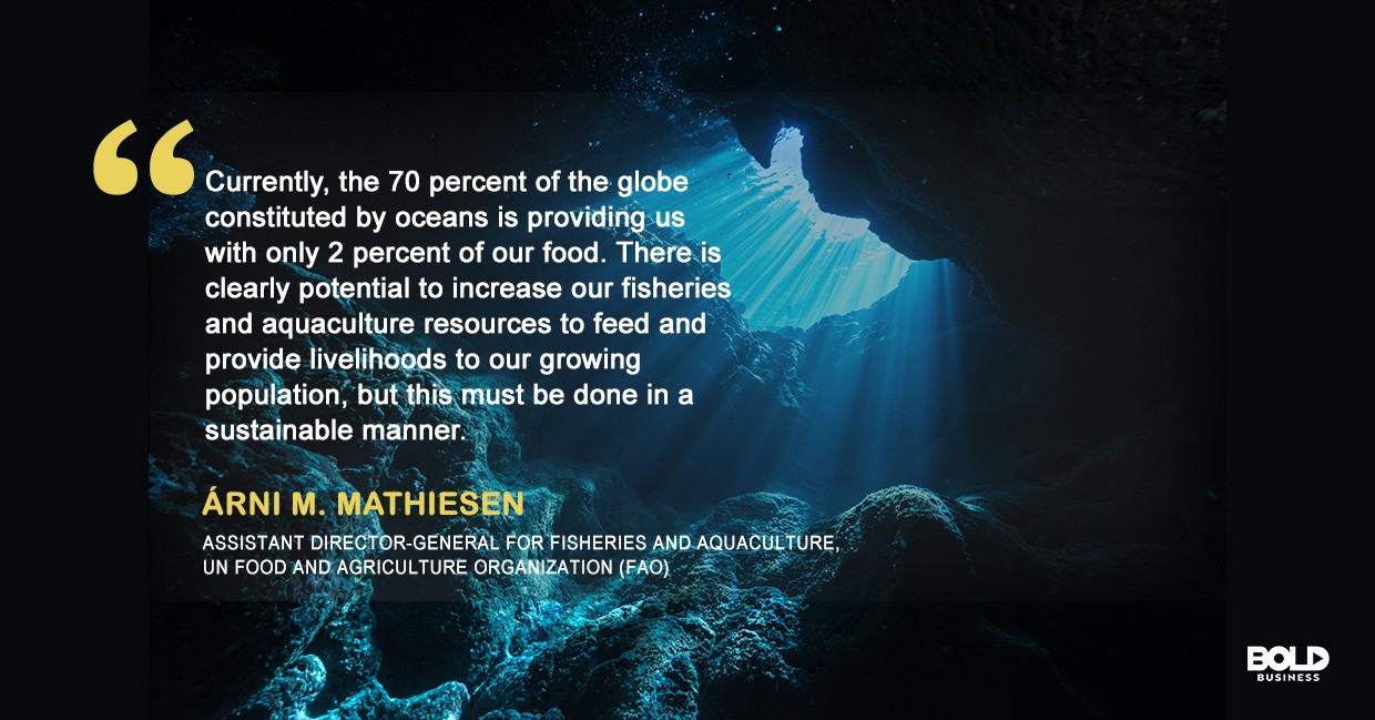 quote from Árni M. Mathiesen amid the discussions about aquaculture and fisheries and aquaculture sustainability