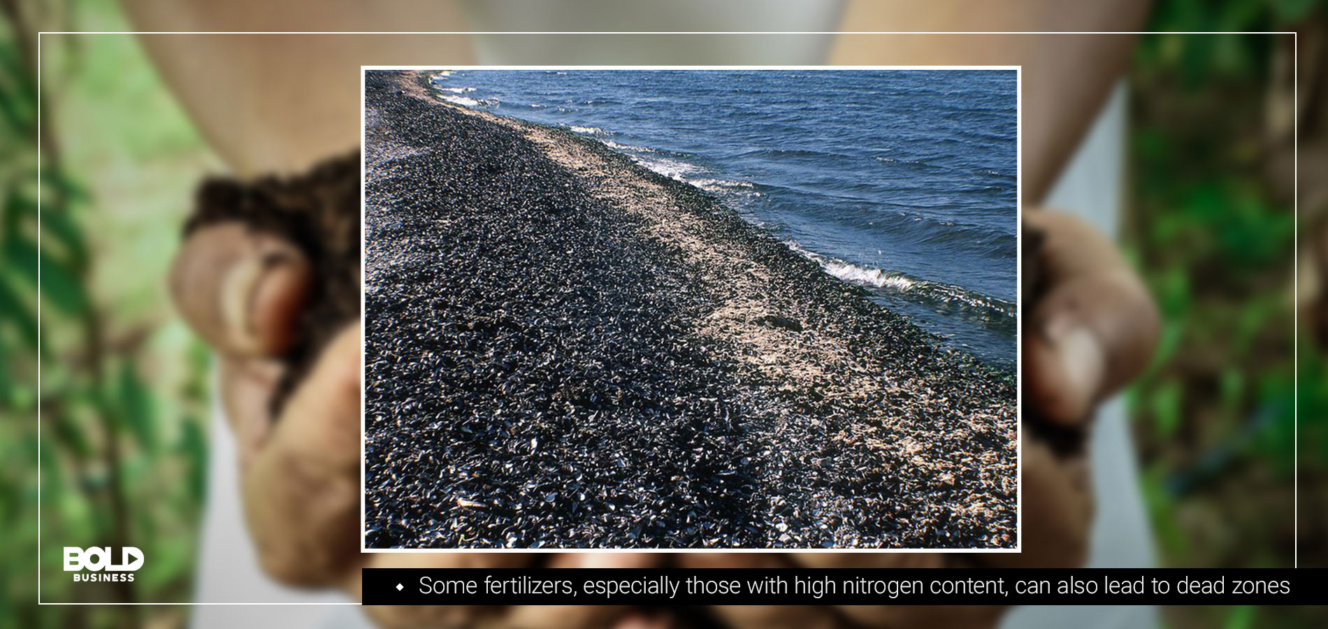 a photo of a "dead zone" or an area in a body of water with low oxygen levels, which is one harmful effect of using fertilizers, that is opposed to using nutrition manufacturer PGE Tech's product