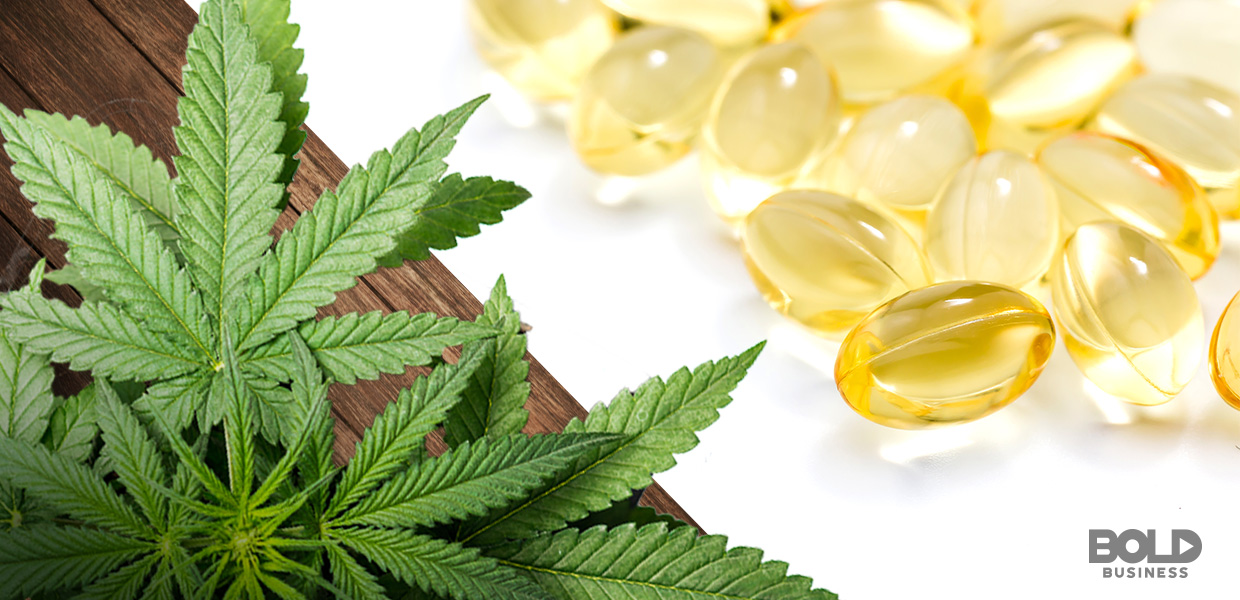 a cannabis plant beside a plateful of gel capsules 