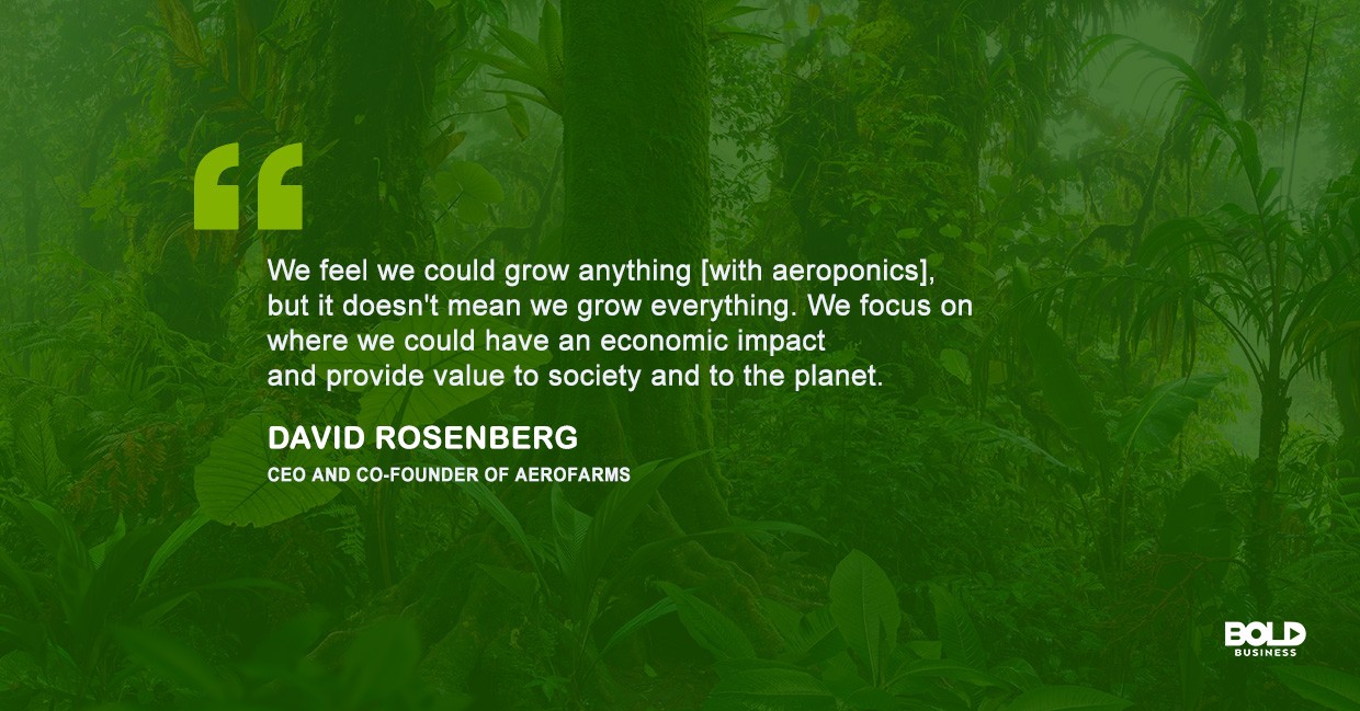 David Rosenberg quoted