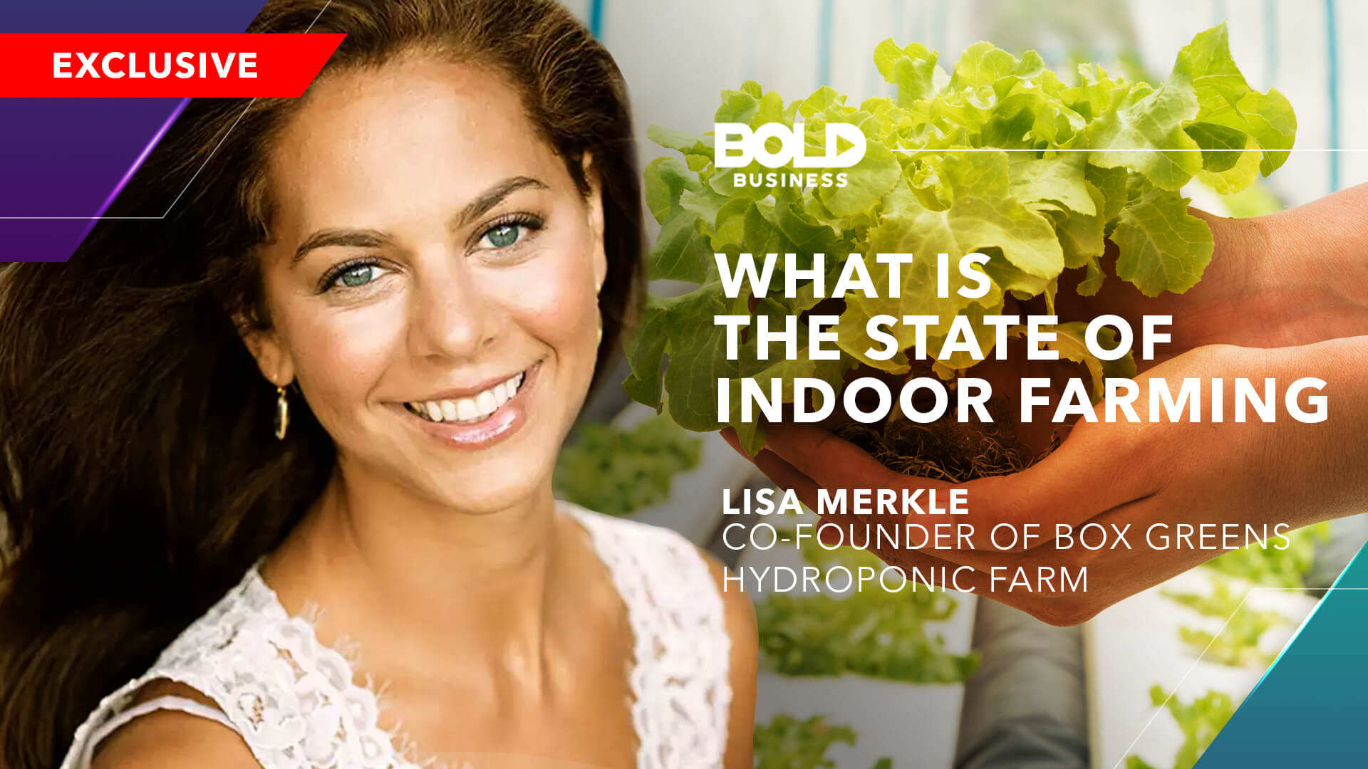 Box Greens: Creating the Future State of Hydroponic Indoor Farming