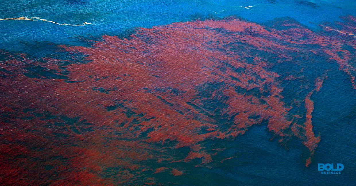 a photo of an aerial view of what a red tide looks like amid understanding the reality of pollution in oceans and seas, as well as ocean benefits to humans