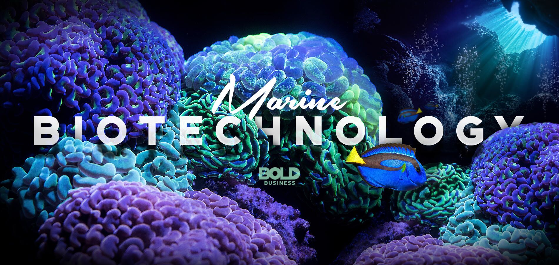 The Blue Economy: Exploring Marine Environments to Expand Human Health