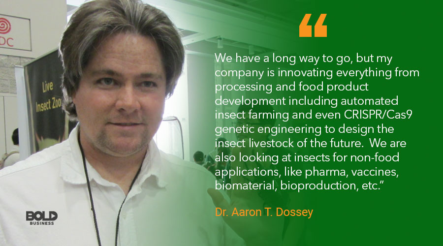 edible bugs, aaron dossey quoted 