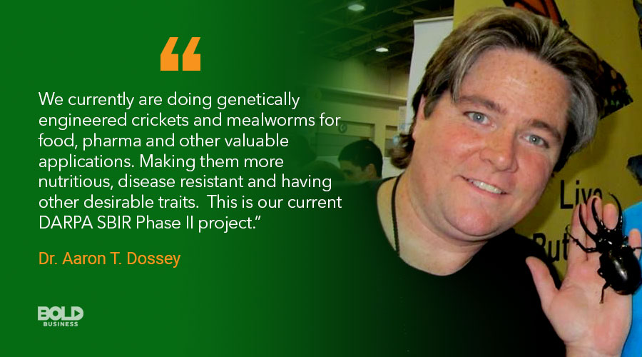 aaron dossey and edible bugs quoted