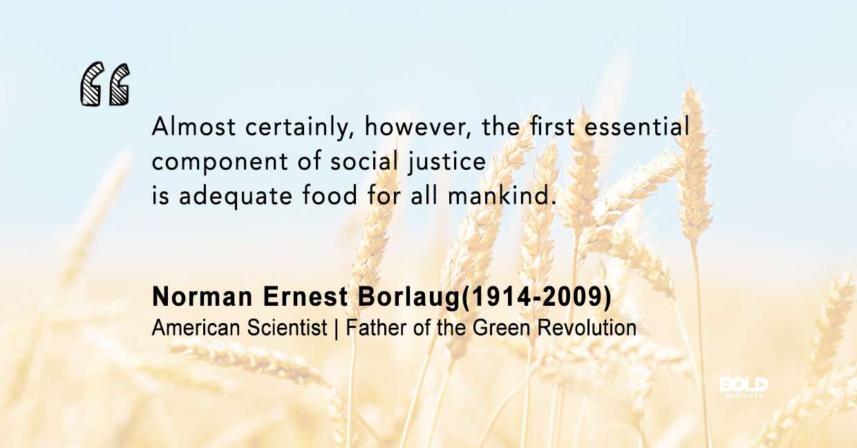 quote of Norman Ernest Borlaug on the subject related to Norman Borlaug and the Green Revolution