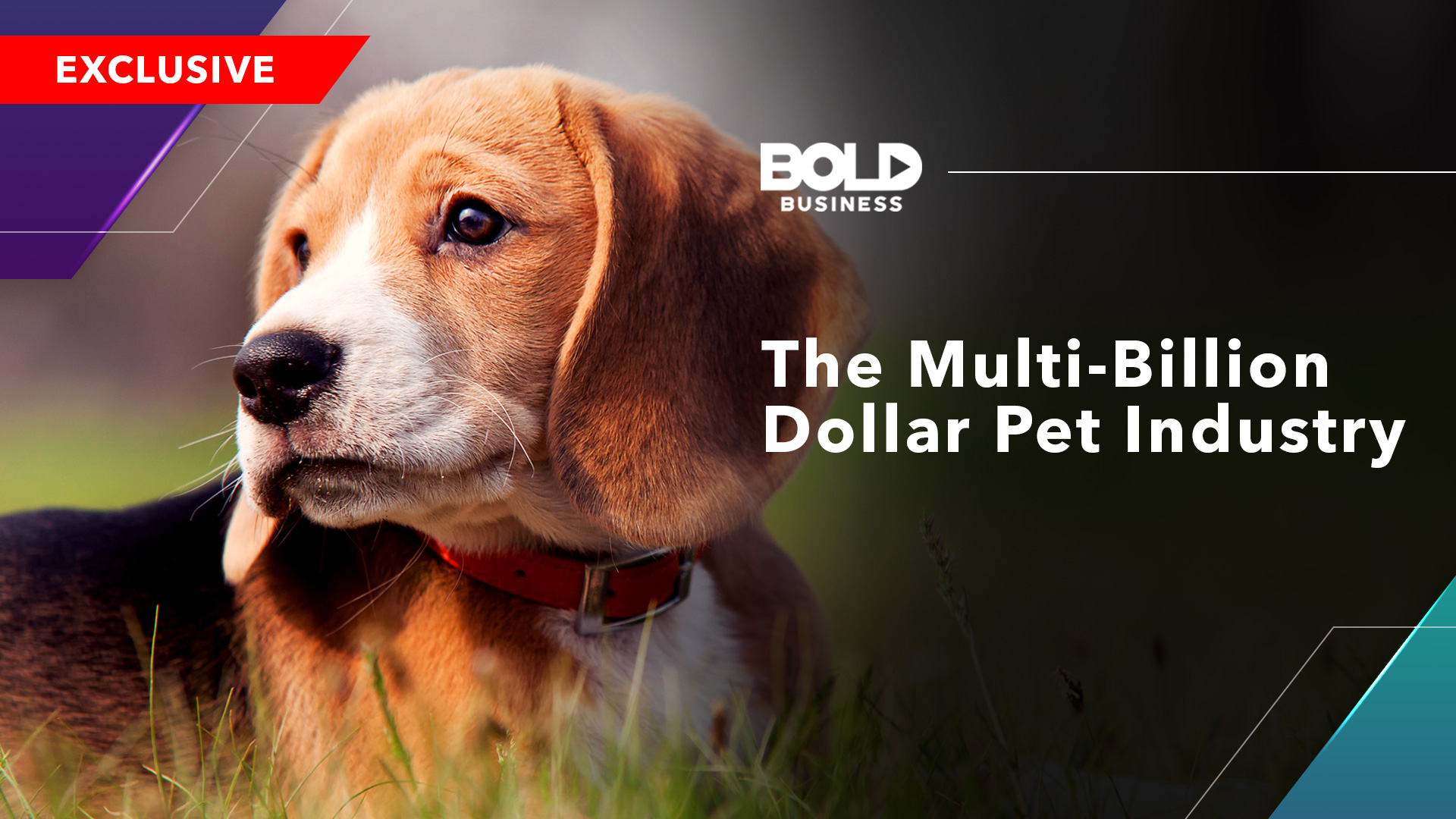 Beyond Treats and Grooming: Pet Industry Outlook and Trends Video