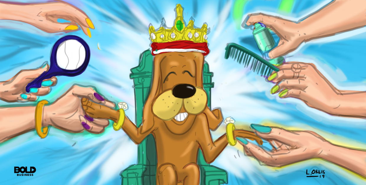 a cartoon of a dog receiving different grooming services.