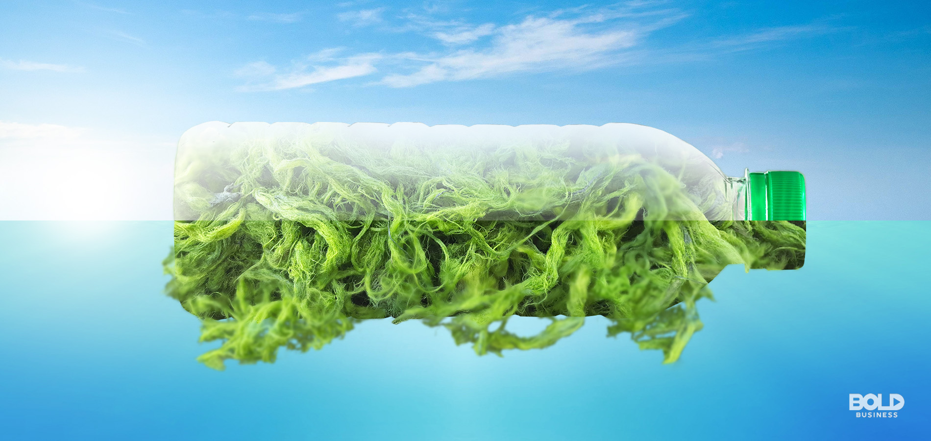 Trading in Plastic for Kelp: Startups Exploring New Biodegradable Plastics