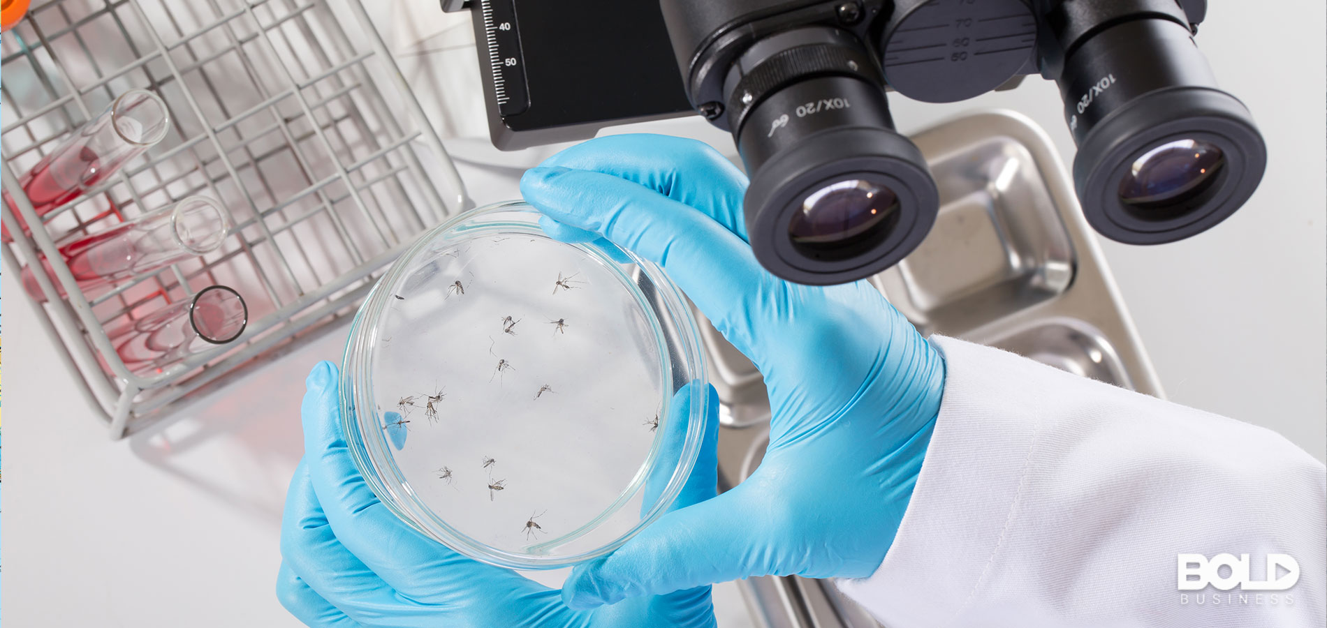 Google Is Eradicating Mosquito-Borne Illnesses