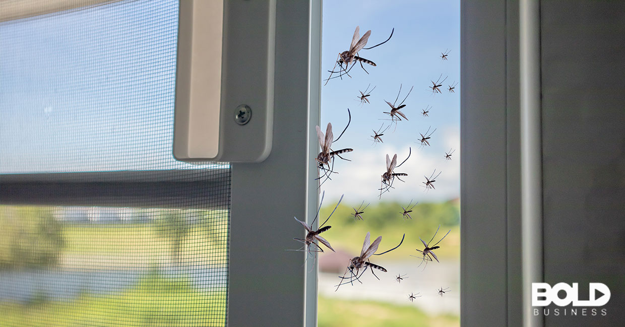 A bunch of mosquitoes trying to get inside