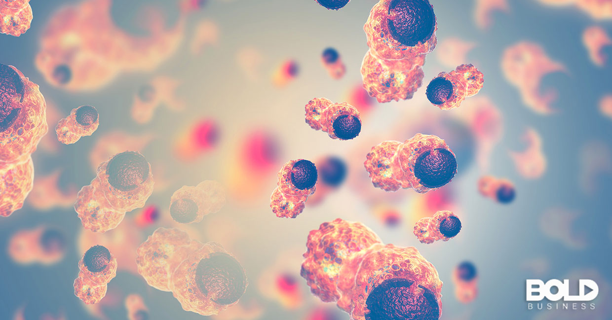 A close up of some cancer cells