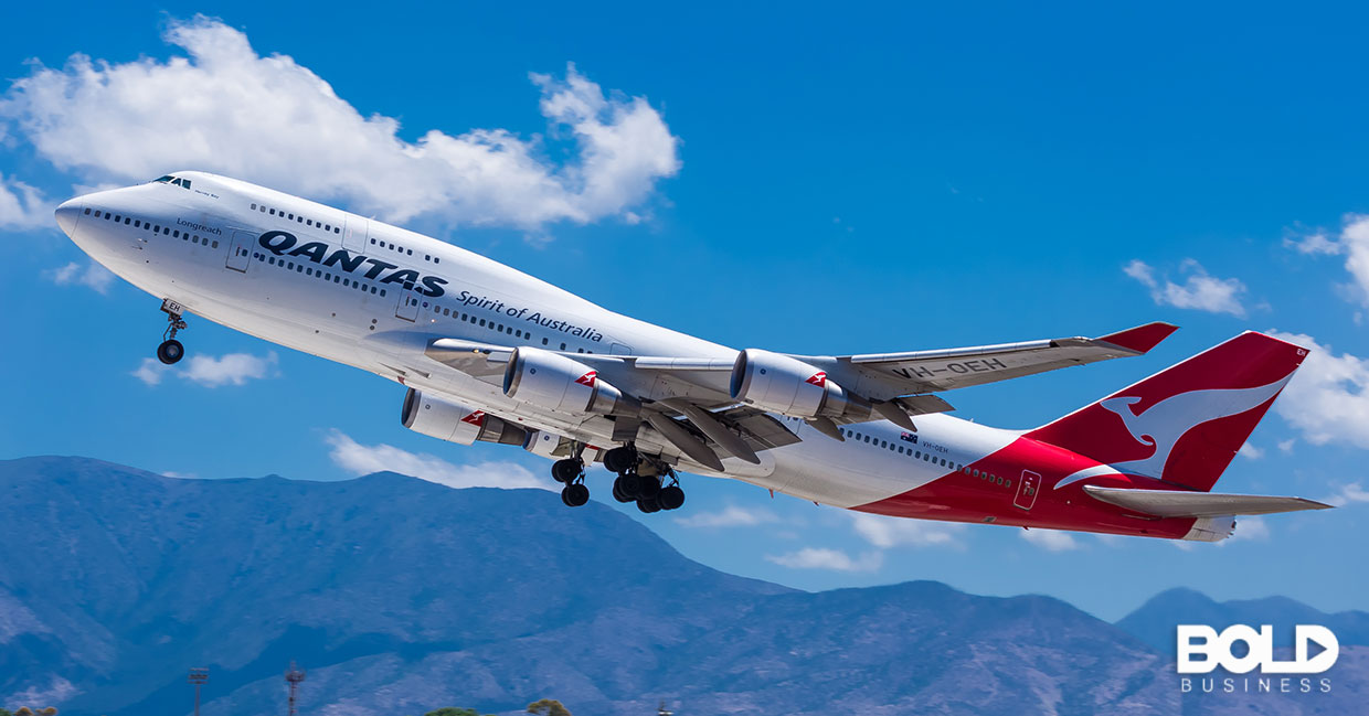 A Qantas flight full of koala bears