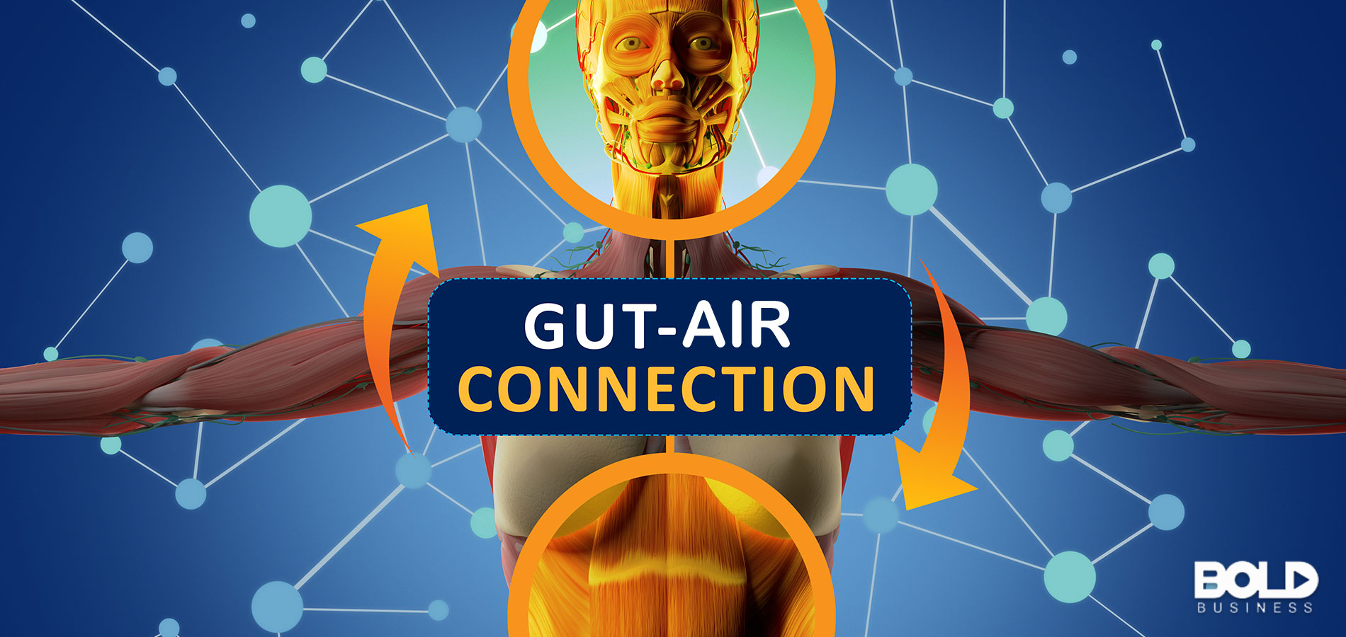 A weird diagram of a human body