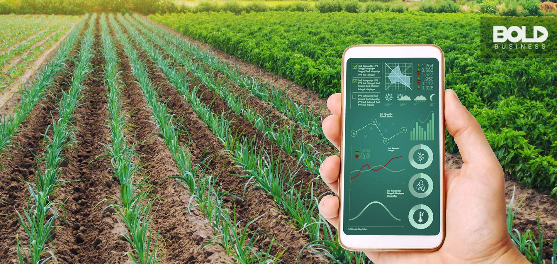 Tightening Up the Food Supply Chain with Ag-Tech Innovations