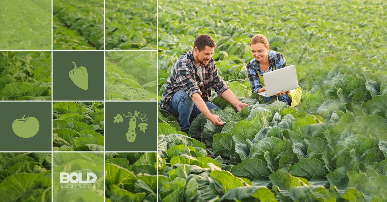 A couple using a laptop in a field