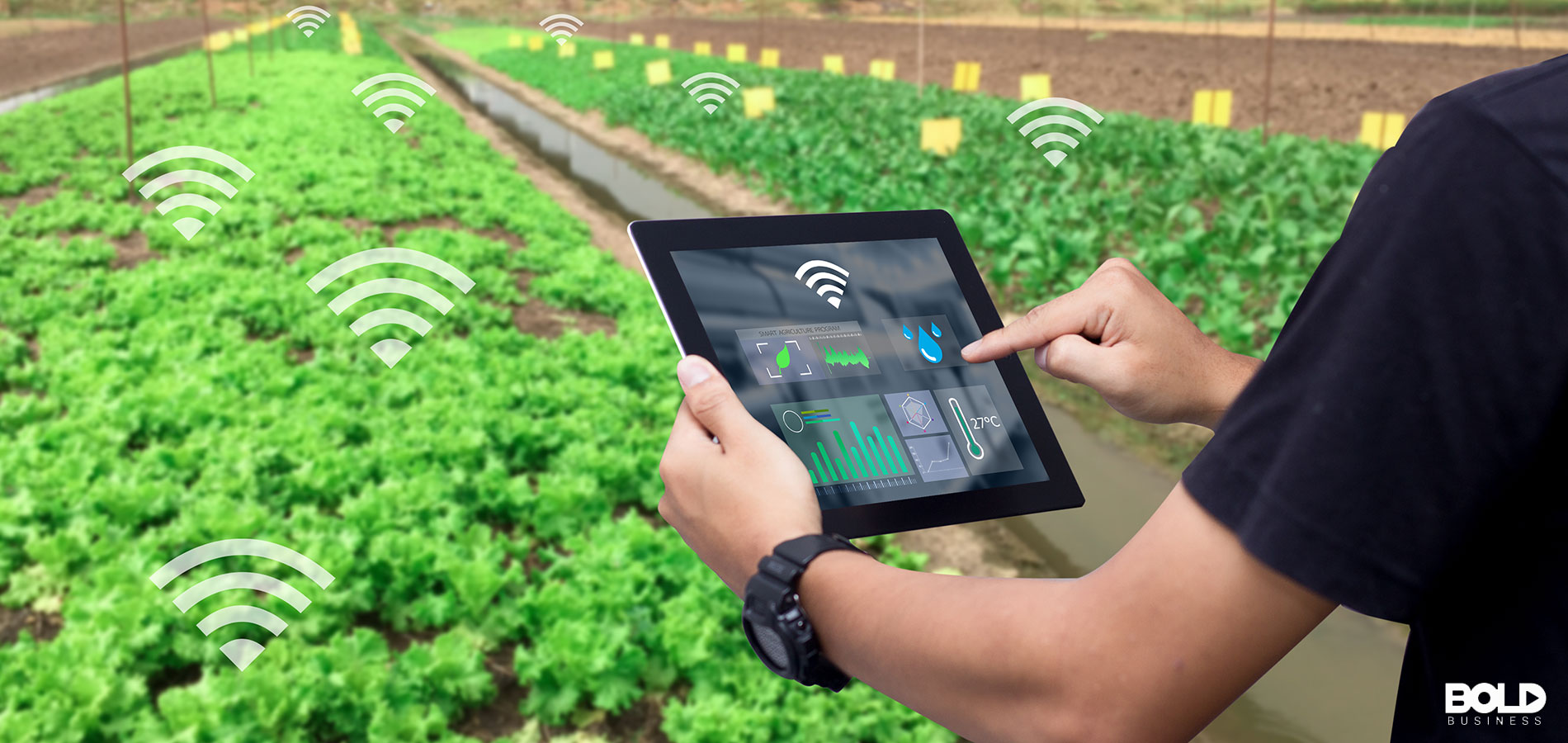 Someone using agtech to grow wifi crops