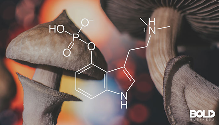 A bunch of magic mushrooms doing chemistry