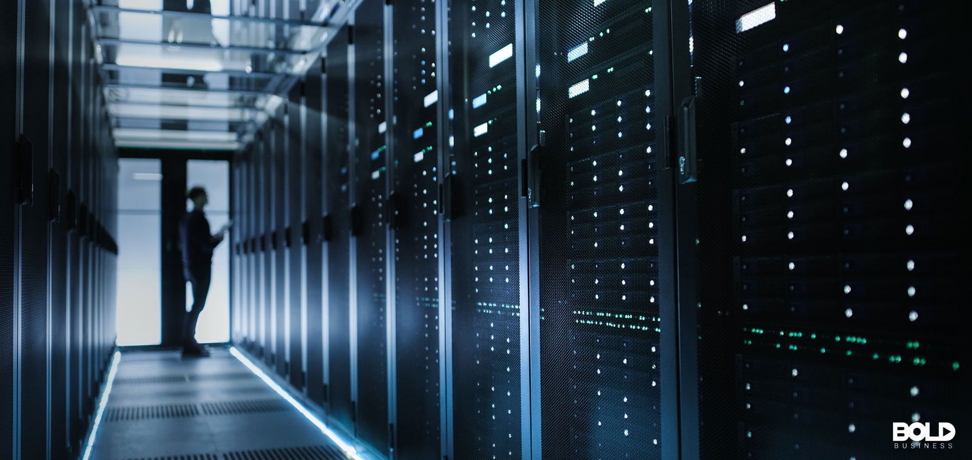 The Business of Data and Privacy Protection