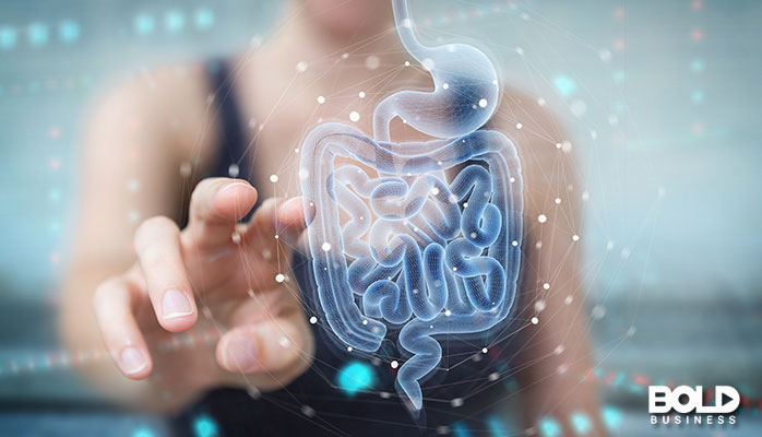 A person manipulating a ghost intestine