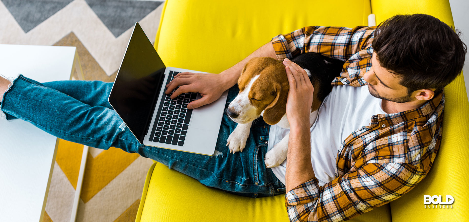 A dude and his beagle on a laptop