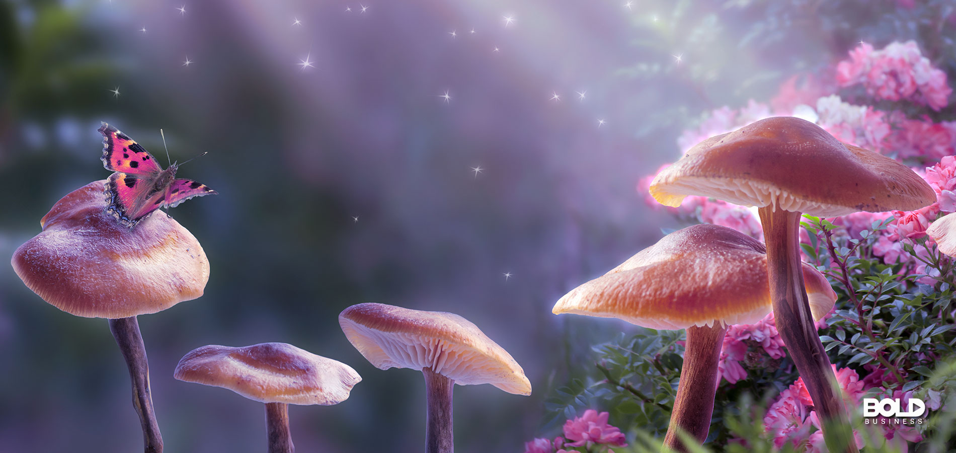 What’s Happening with Magic Mushroom Therapy? – A Psychedelics Industry Update