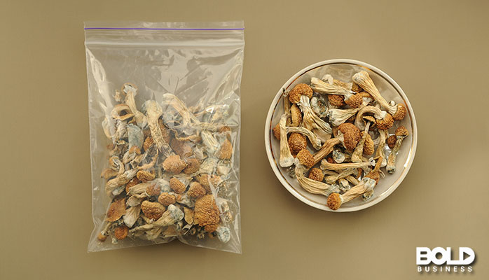 A baggie and a bowl of shrooms
