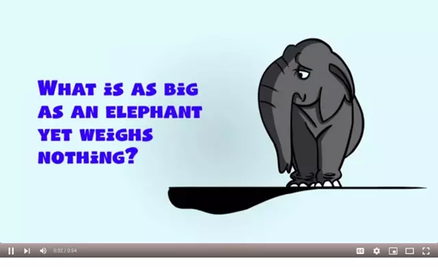 As Big As An Elephant