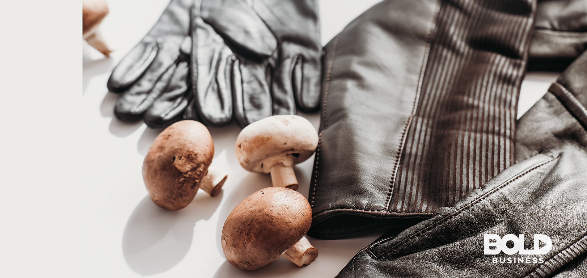 Would You Wear a Jacket Made of Mushrooms?
