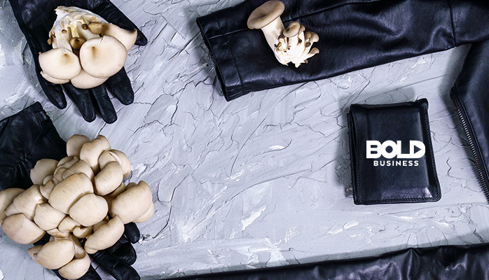 Mushrooms are sustainable leather alternatives and Smurf houses