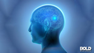 A brain computer interface in action