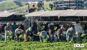Some migrant workers in the U.S. doing some migrant work