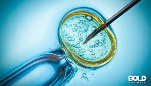 mitochondrial replacement therapy under a microscope