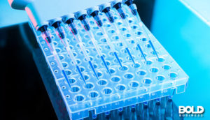 mitochondrial DNA in a bunch of test tubes