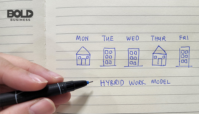 a drawing of the hybrid leadership model